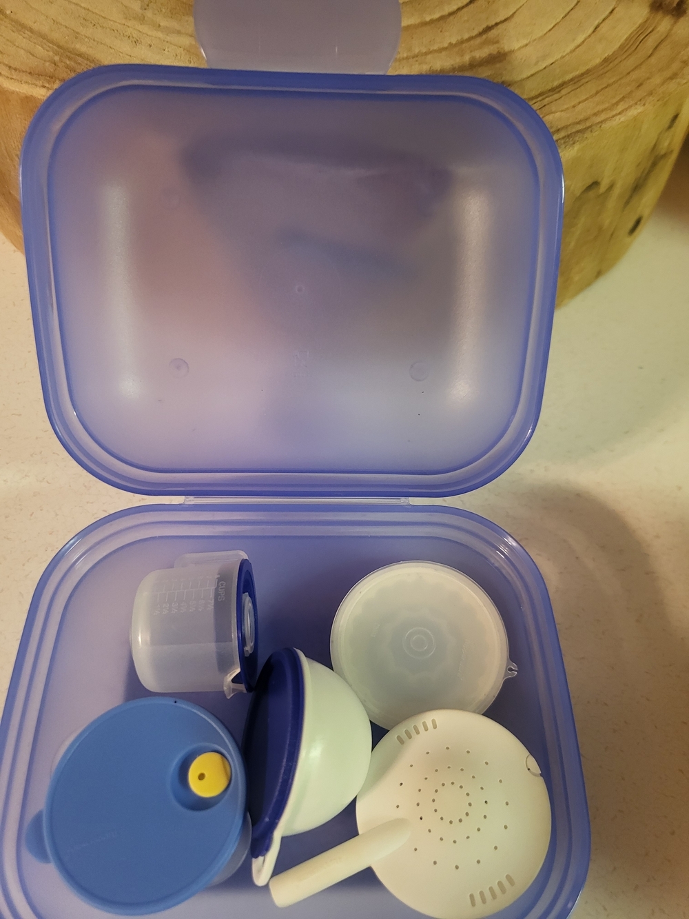 Tupperware oyster case mini lunch box with 5 tinietreasures